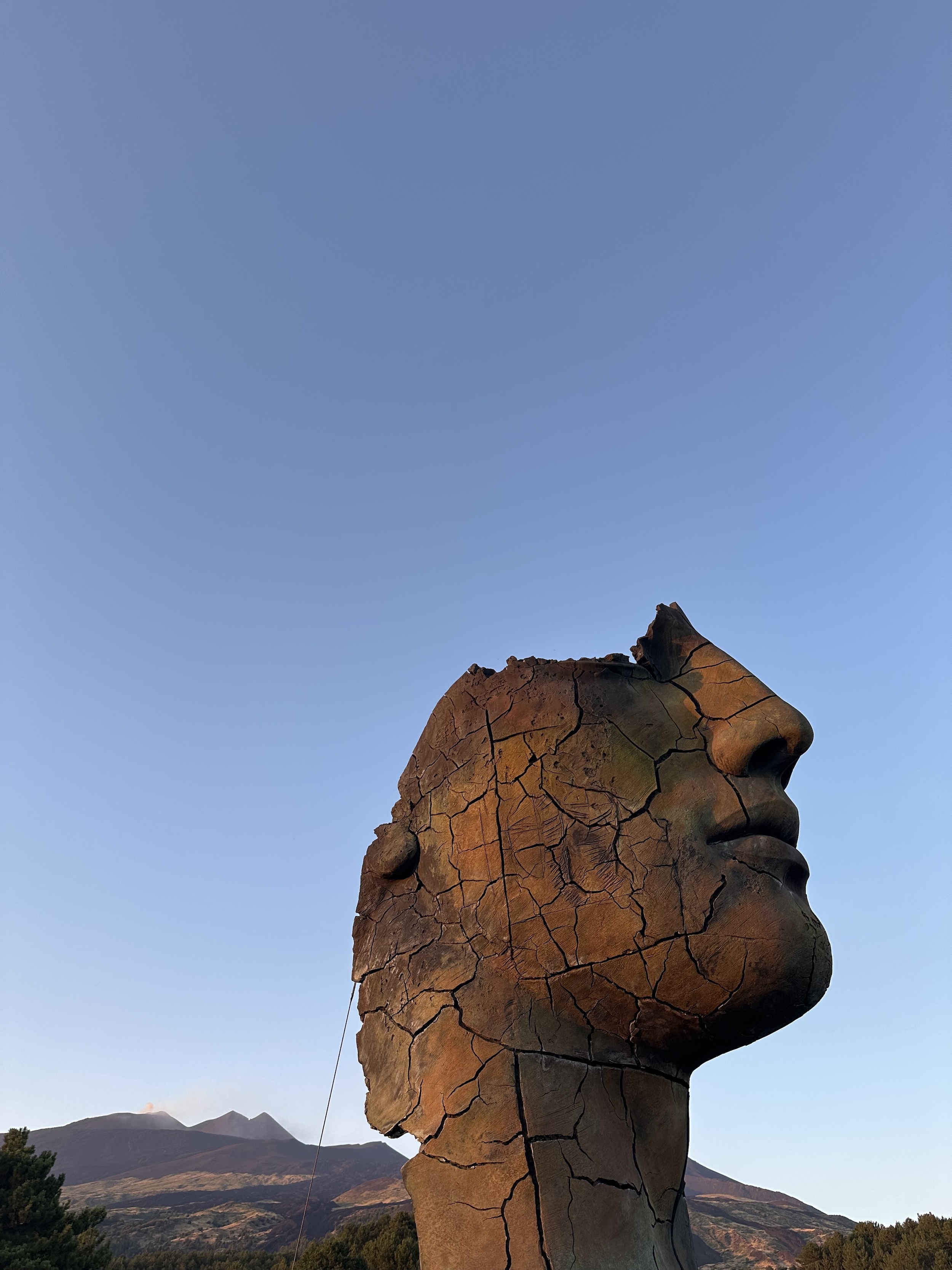 Photo montrant Catalogue des sculptures d\'Igor Mitoraj hors de Pologne