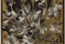 Photo showing Towards abstraction... Polish artists in France