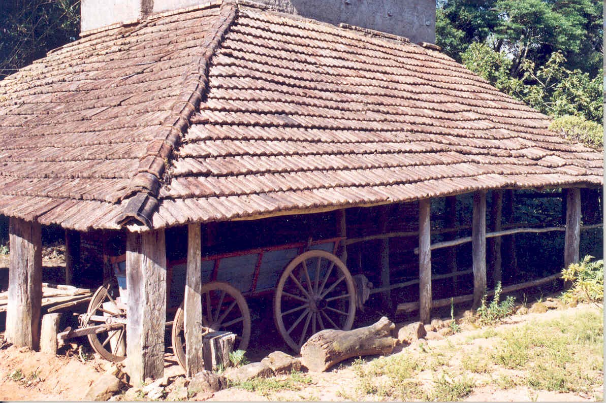 Photo montrant Brésil - L\'héritage culturel polonais dans les collections des musées