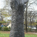 Fotografia przedstawiająca Rzeźby Magdaleny Abakanowicz w przestrzeni otwartej
