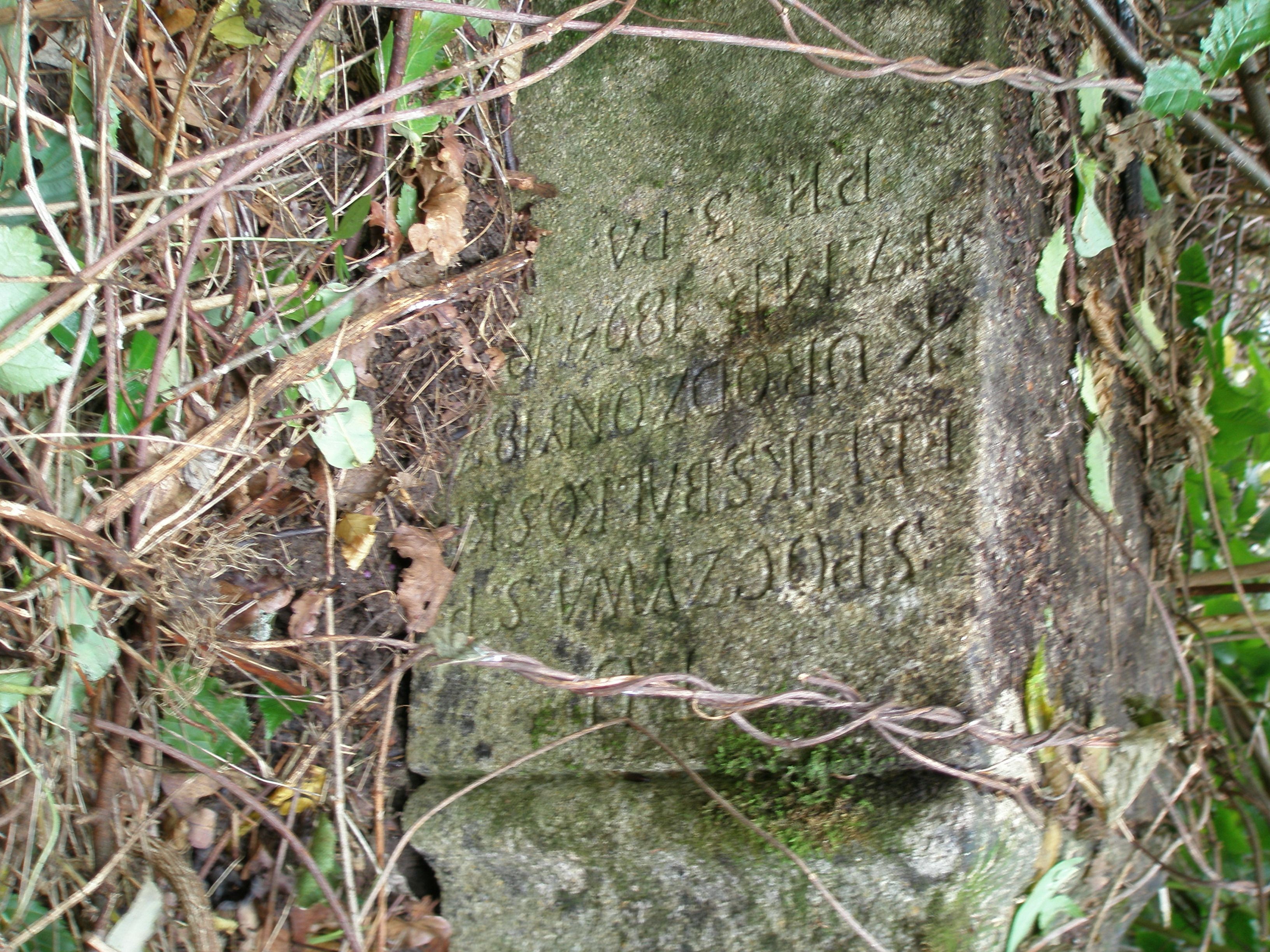 Inskrypcja z nagrobka Feliksa Bałkowskiego, cmentarz w Potoku Złotym, stan z 2006