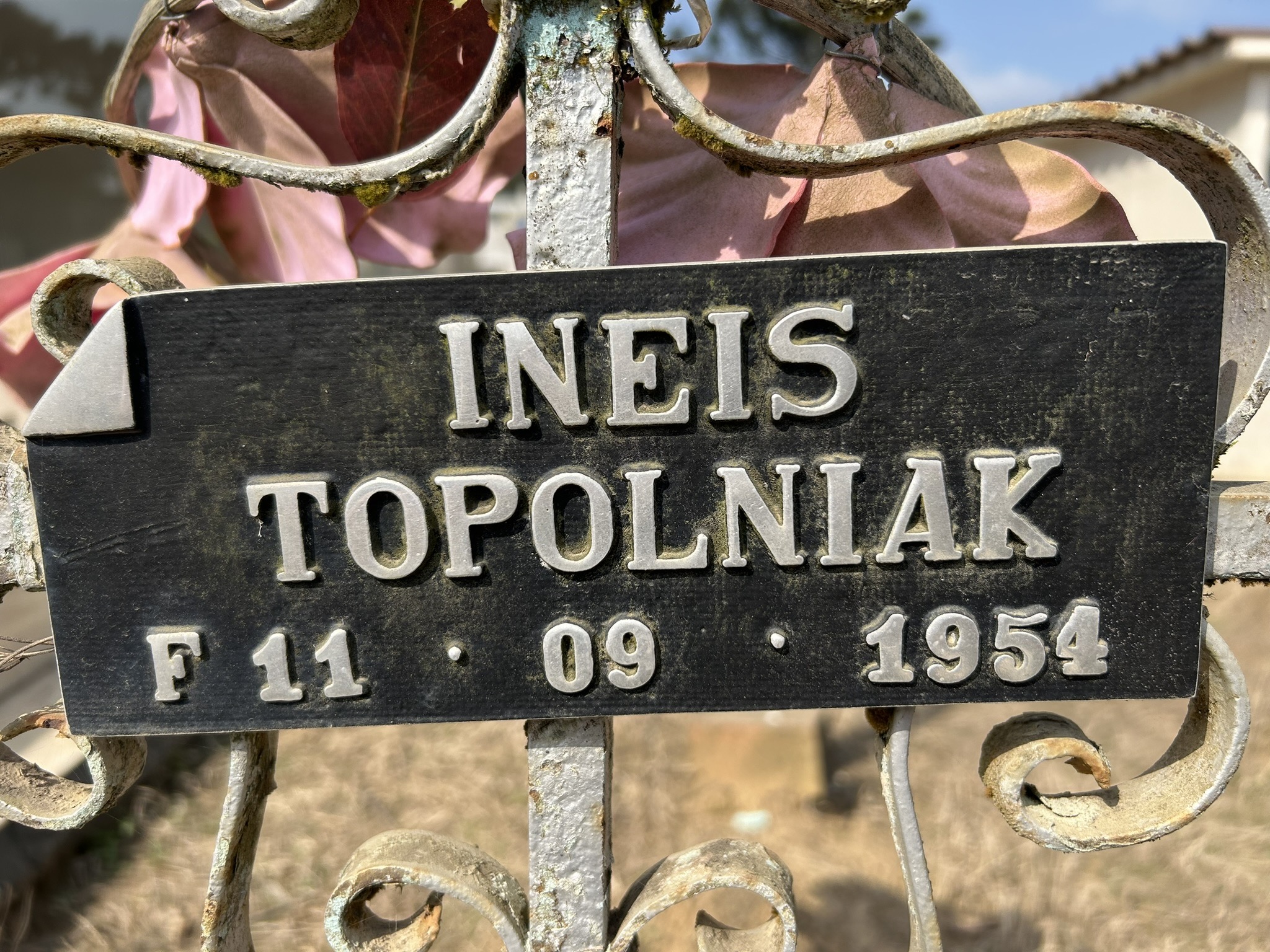 Fotografia przedstawiająca Nagrobek Ineis Topolniak