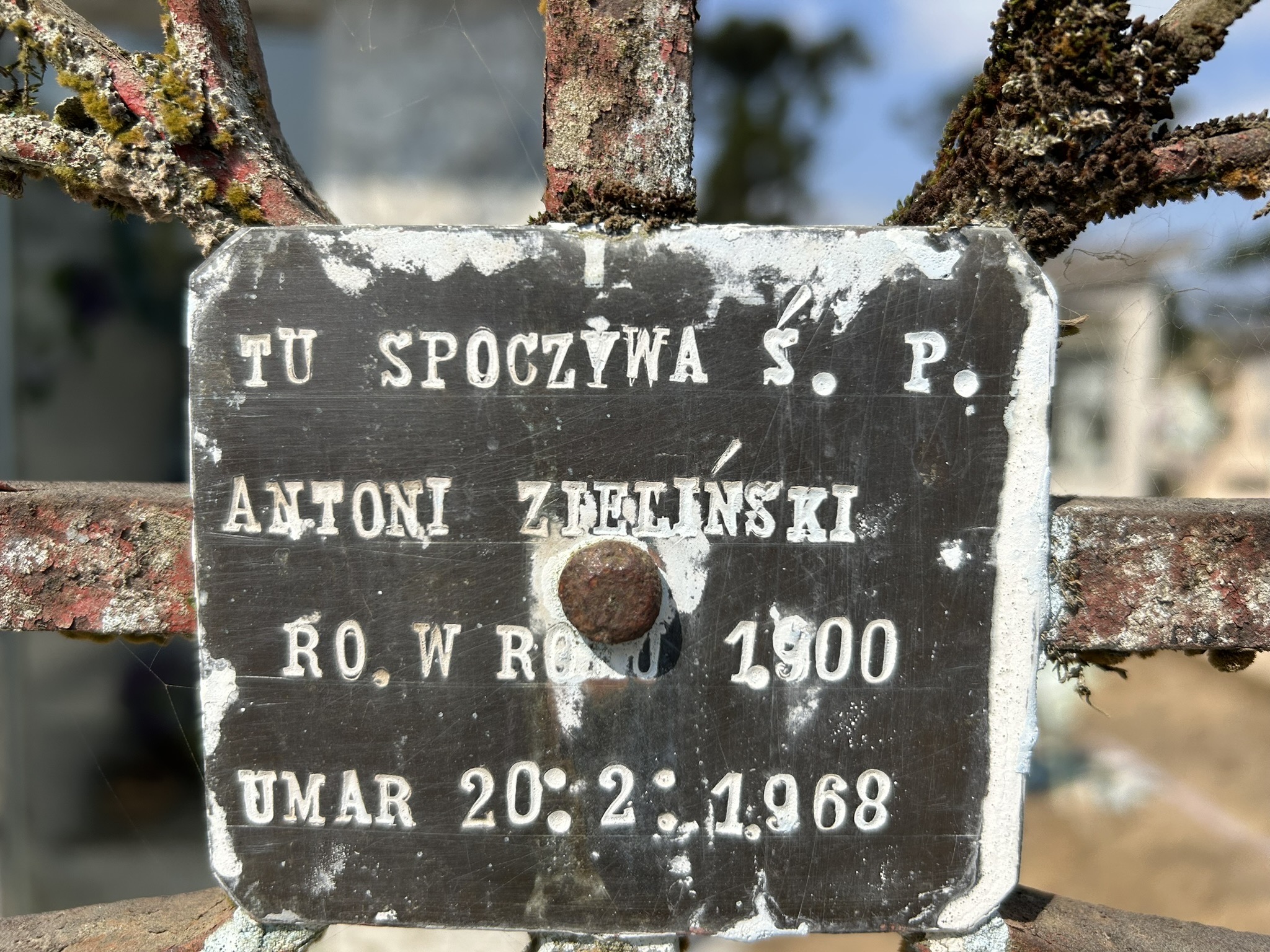 Photo montrant Nagrobek Antoniego, Stanisława i Zofii Zielińskich