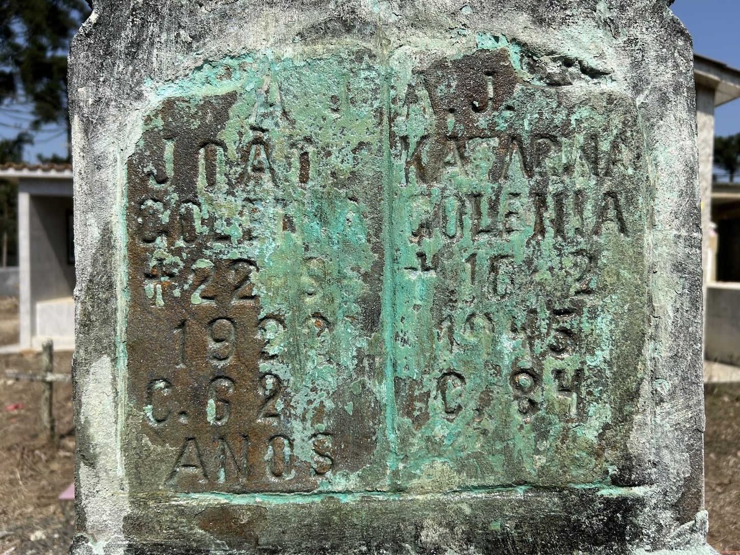 Альтернативний текст фотографії
