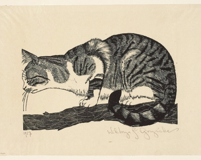 Woodcut print of a cat on a branch by Wiktorja J. Goryńska, 1927. The cat is crouched with its head lowered, showing detailed fur patterns. Signature and date visible.