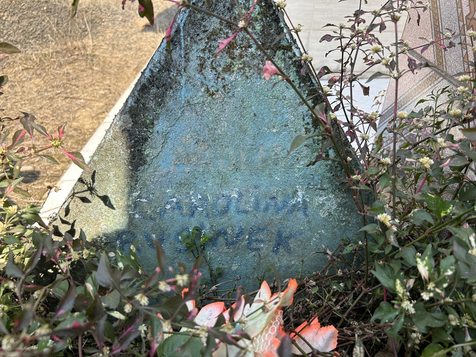 Photo showing Nagrobek Anieli Więckowskiej i Karoliny Rusinek