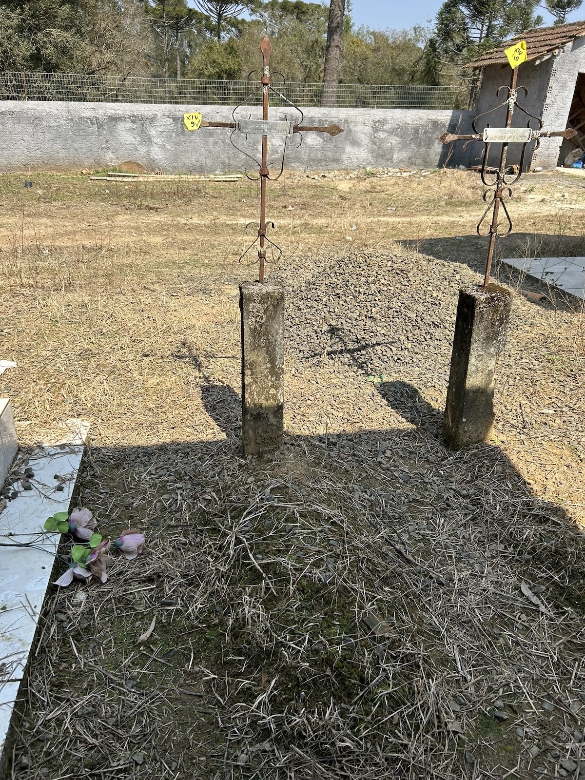 Two metal crosses on stone bases in the cemetery. The ground is covered with dry grass, with a few artificial flowers lying nearby. In the background a stone wall and trees.