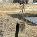 Photo showing Nagrobek N.N. Jaskowskiego