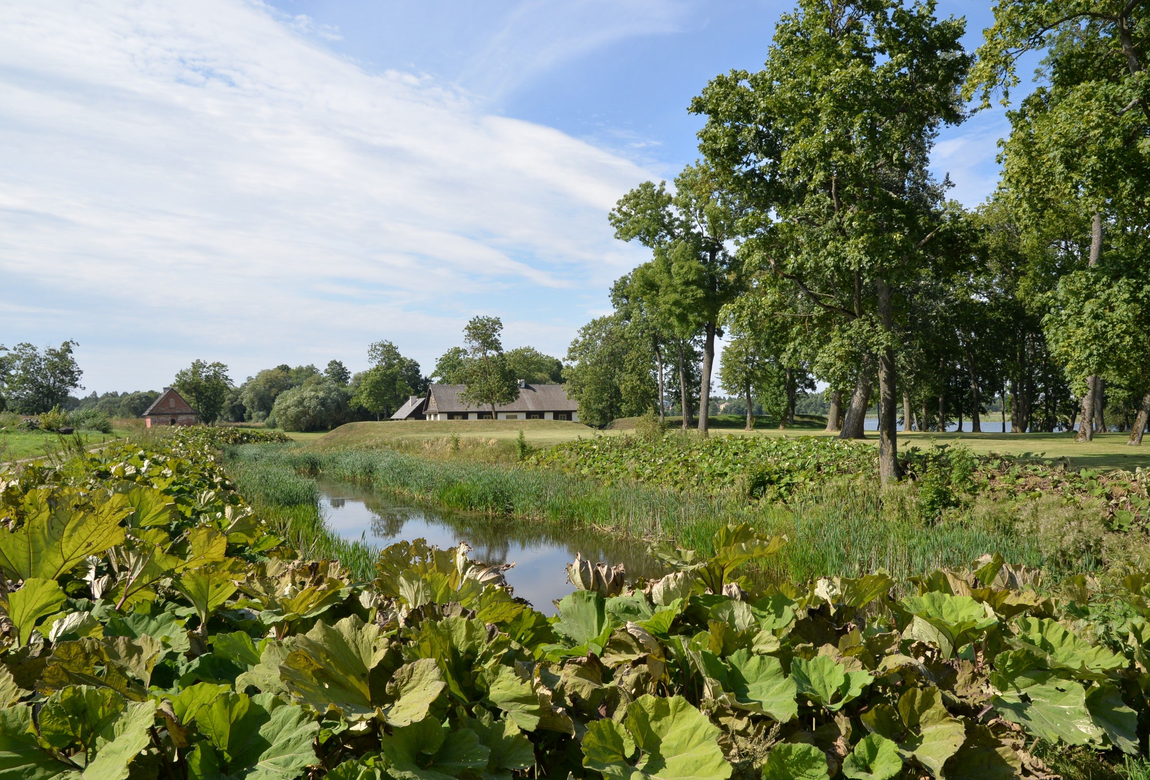 Photo showing Zamek w Siesikach