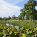 Photo showing Zamek w Siesikach