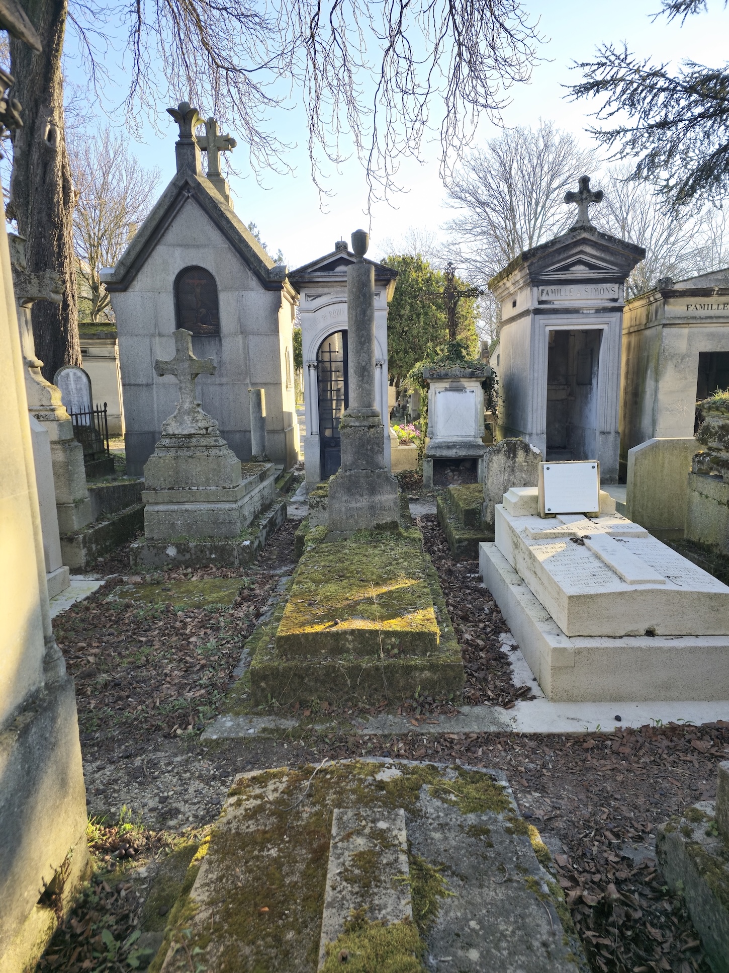 Grave of the Miaskowski family with a stepped pedestal, Tuscan column topped with an urn, and inscriptions. Moss-covered stone slabs and remnants of a fence visible.