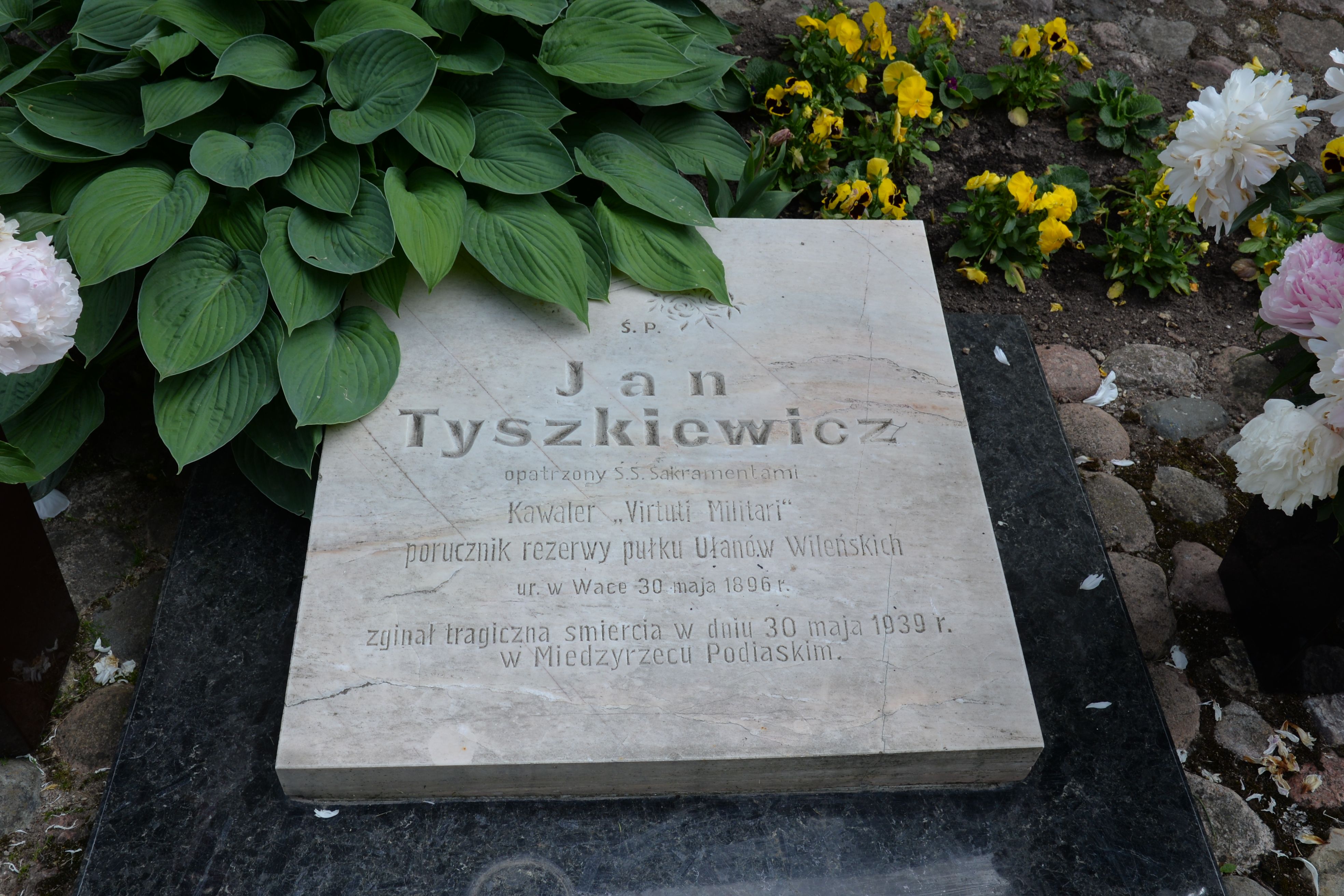 Pierre tombale de Jan Tyszkiewicz avec texte gravé, entourée de feuilles vertes et de fleurs jaunes.