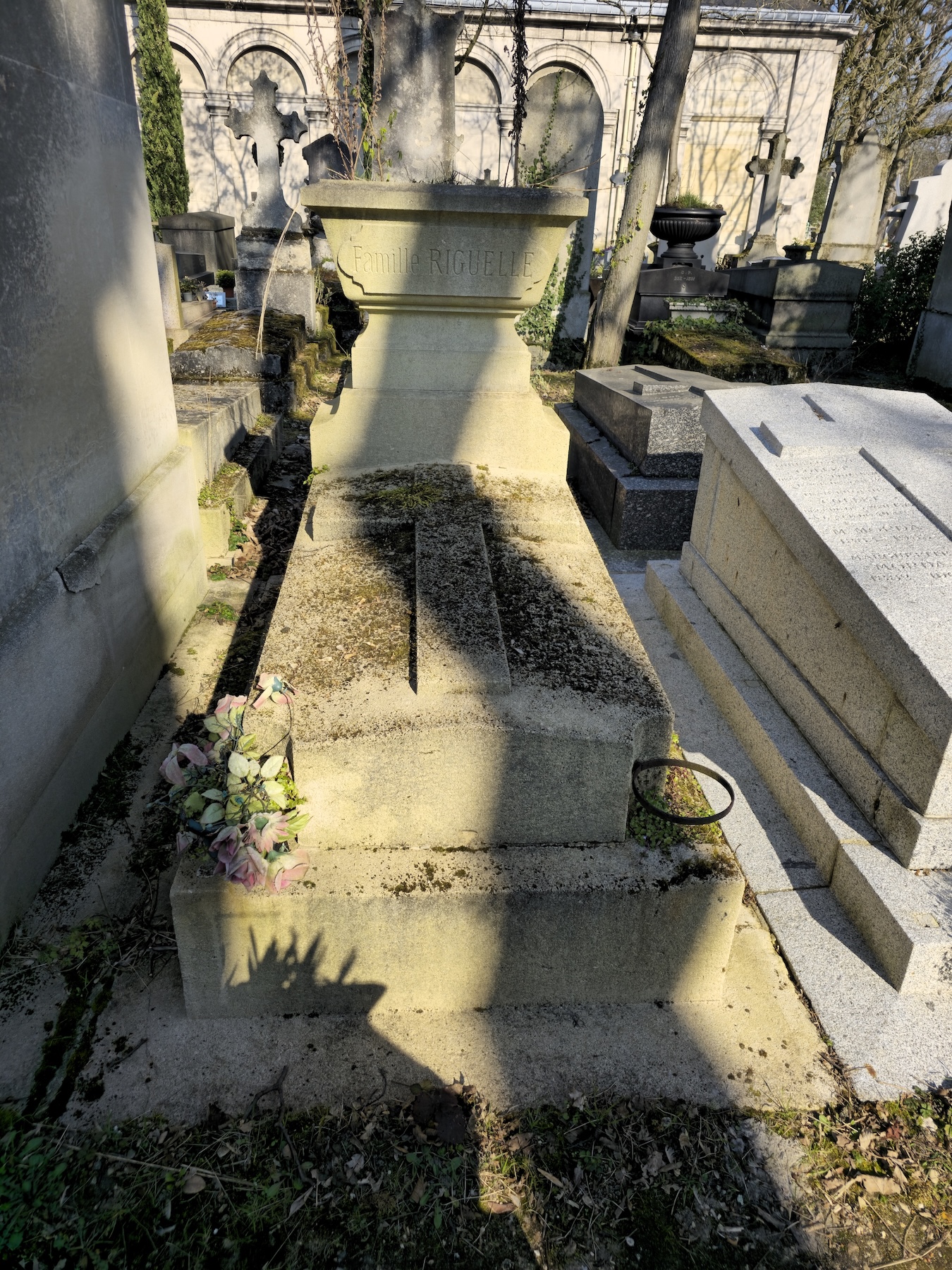 Альтернативний текст фотографії