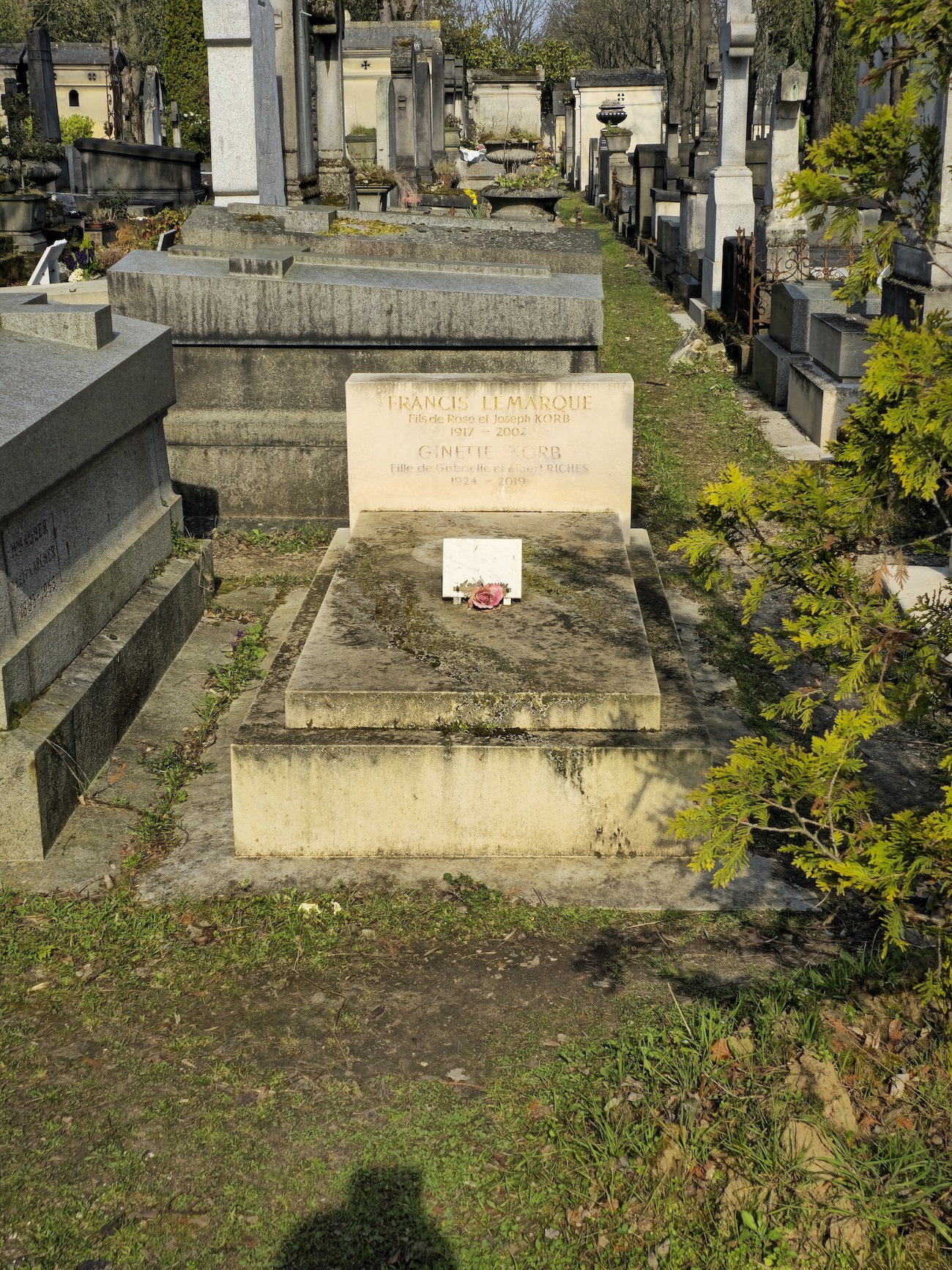 Альтернативний текст фотографії