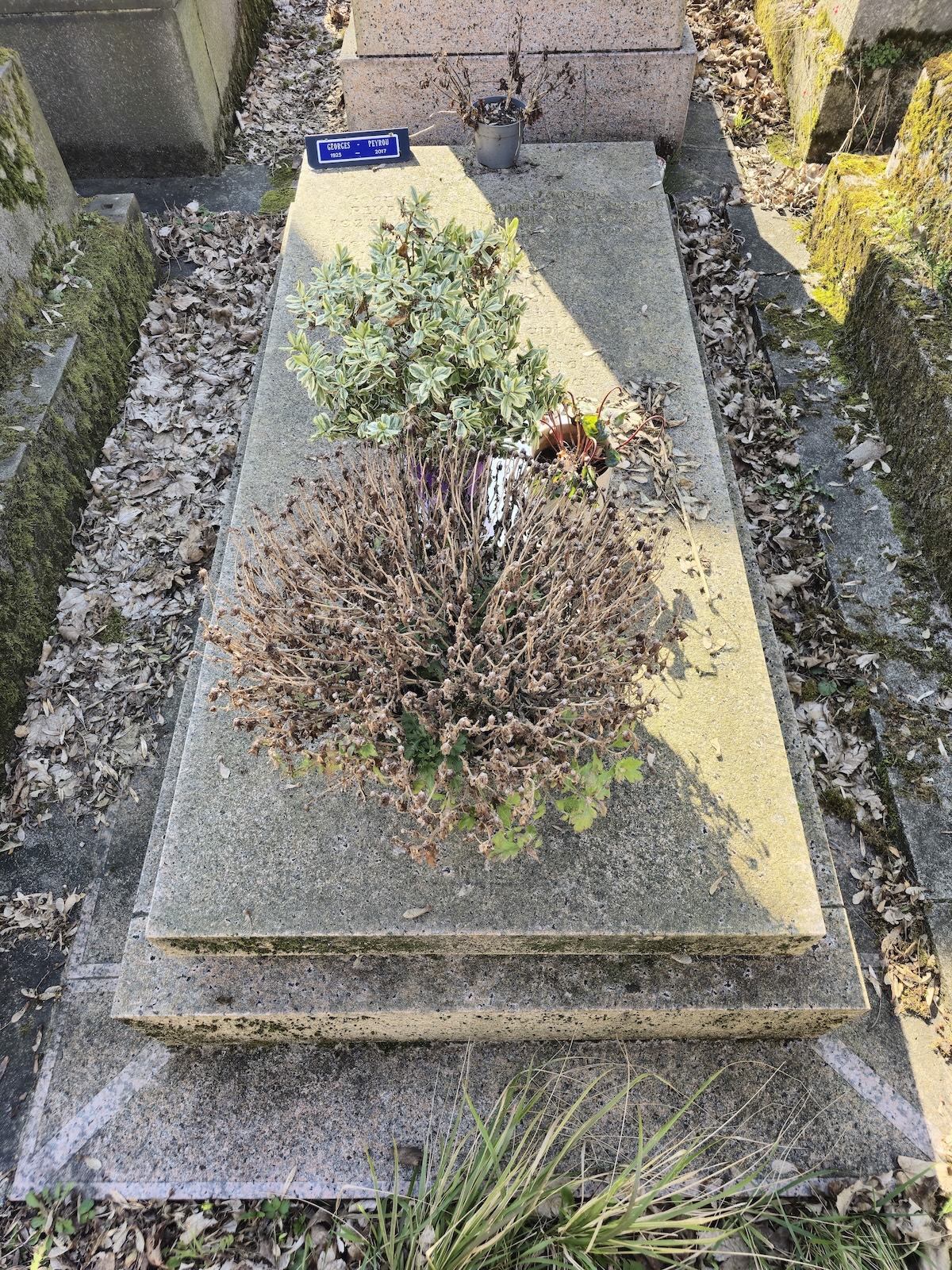 Альтернативний текст фотографії