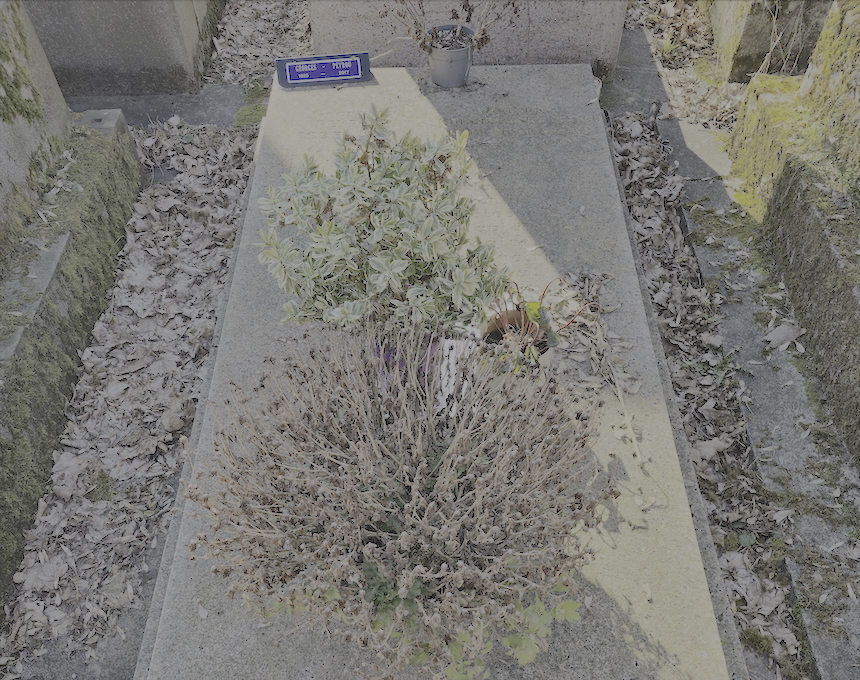 Альтернативний текст фотографії