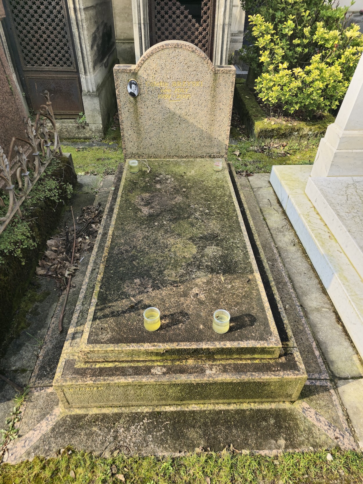 Photo montrant Nagrobek Colette Brzyski