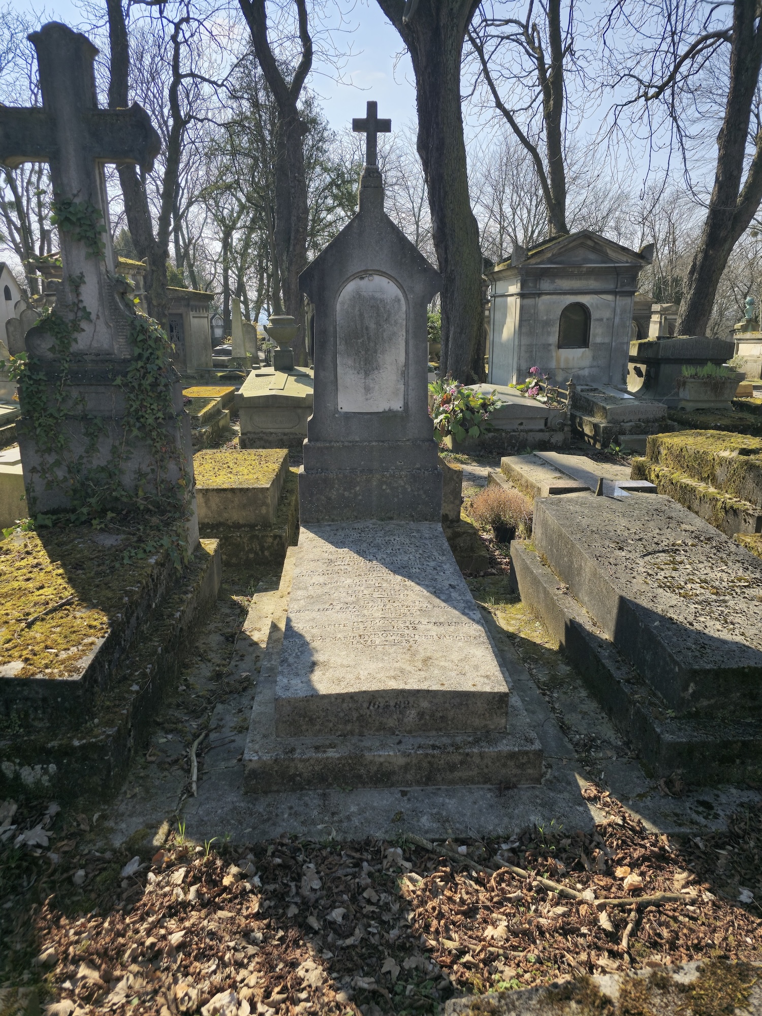 Альтернативний текст фотографії