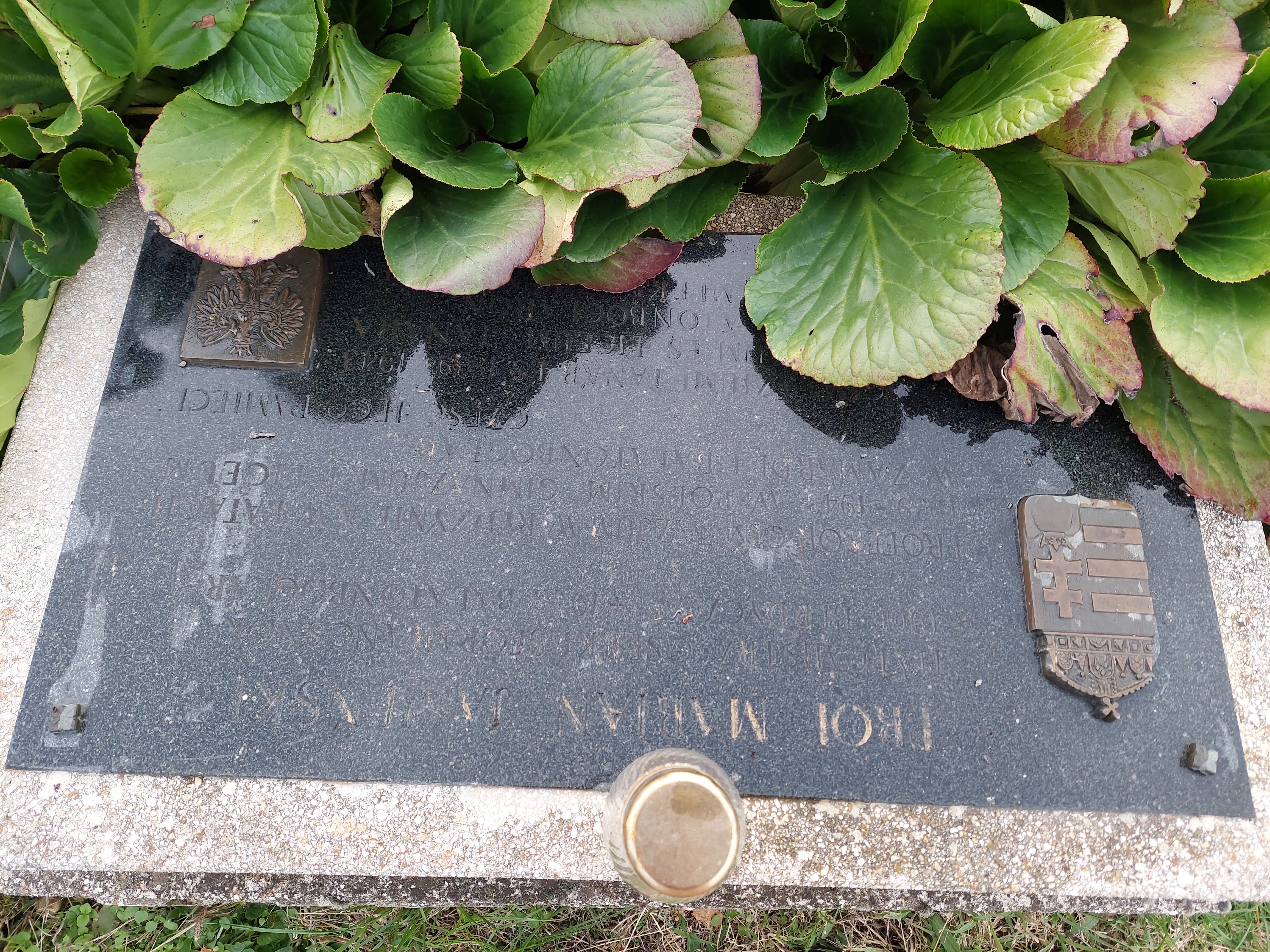 Gravestone of Marian Jasiński with a granite plaque featuring Polish and Hungarian coats of arms and inscriptions in Polish and Hungarian. Surrounded by green leaves.