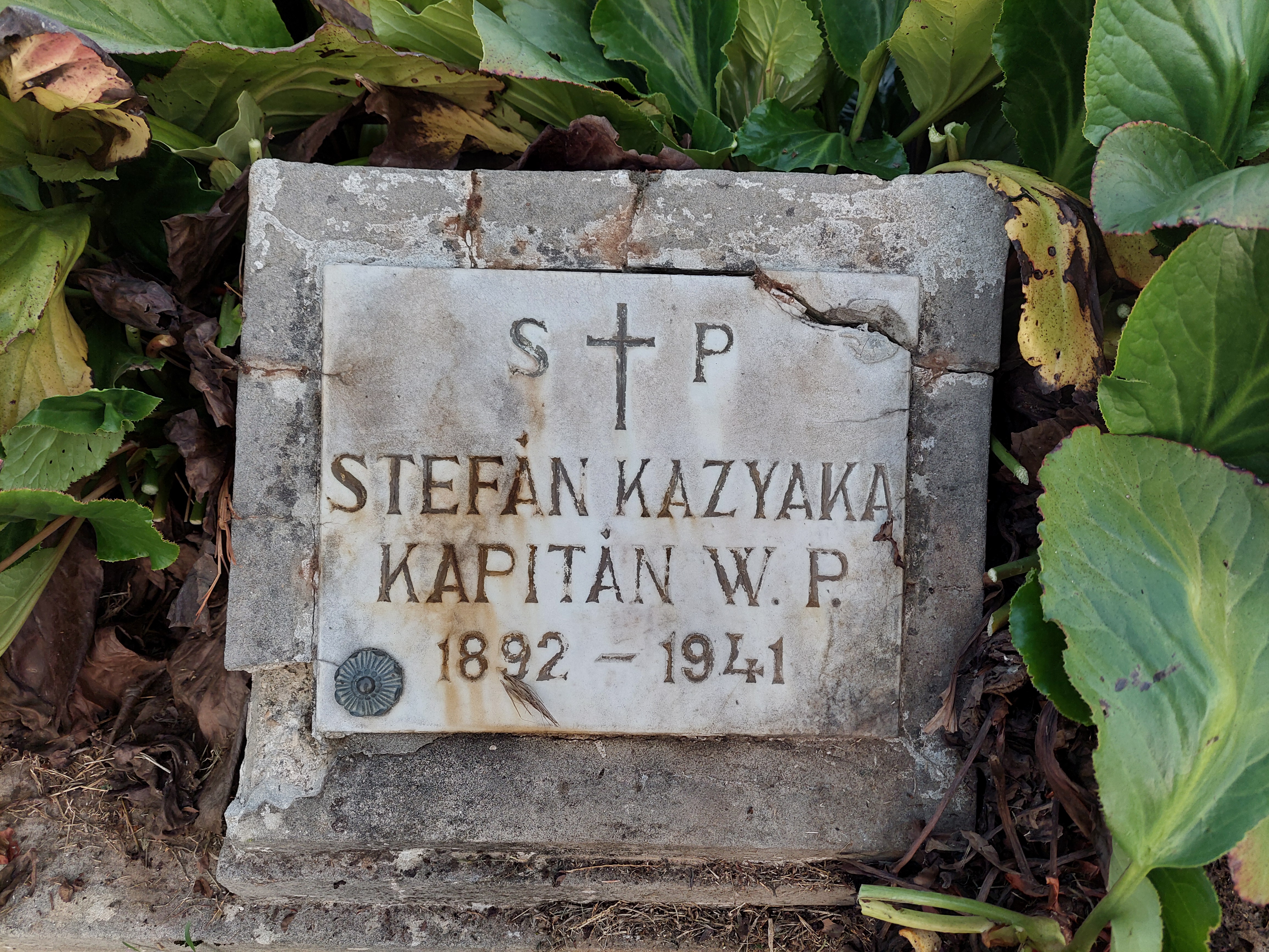Gravestone of Stefan Kazyaka, a Polish Army captain, with the inscription 'S.P. STEFAN KAZYAKA KAPITAN W.P. 1892-1941' surrounded by green leaves.