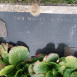 Photo showing 4 groby polskich uchodźców