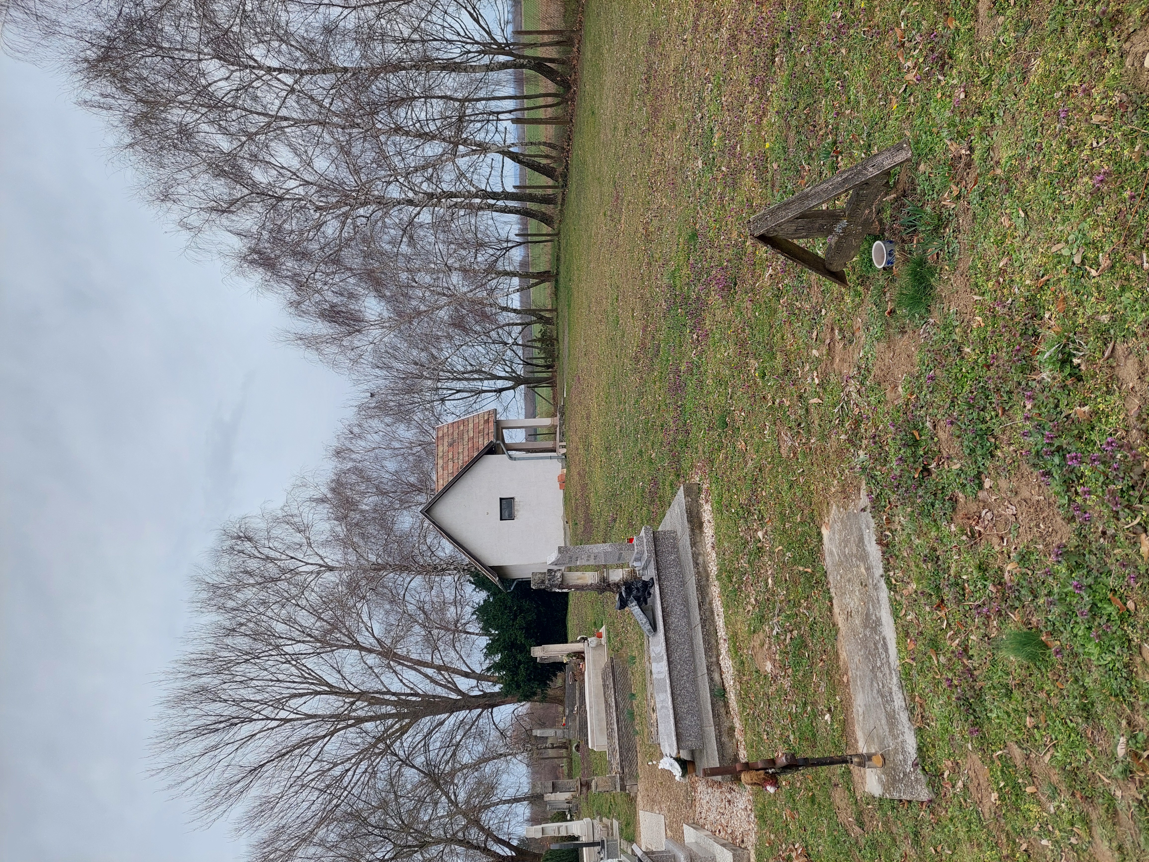 Tombe du réfugié polonais Józef Smoliński au cimetière d'Oroszi. Une croix en bois avec une inscription hongroise partiellement effacée se dresse sur la tombe. Des tombes environnantes et des arbres dénudés sont visibles en arrière-plan.