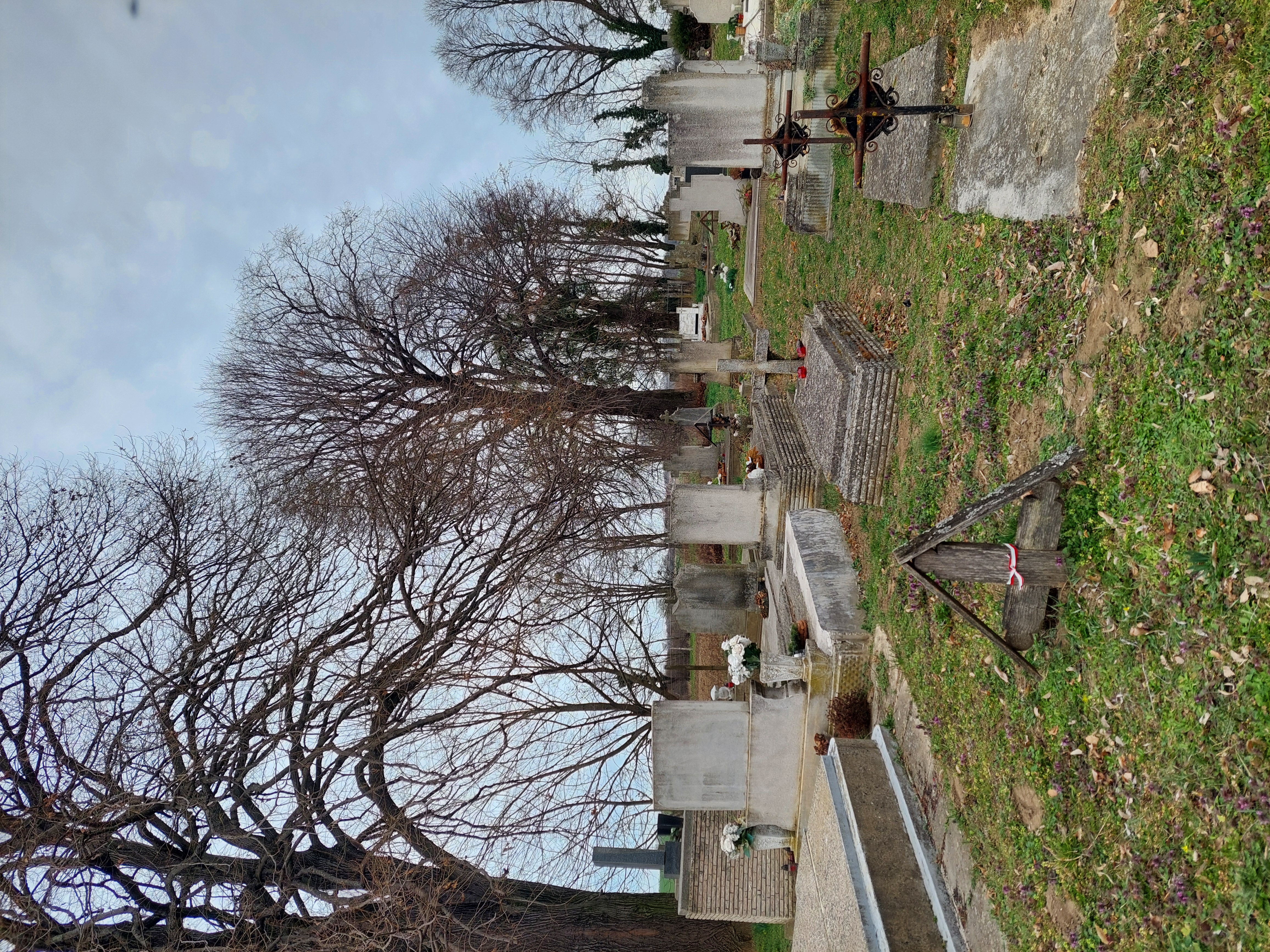 Cimetière à Oroszi avec la tombe du réfugié polonais Józef Smoliński. Une croix en bois avec une inscription hongroise partiellement effacée marque la tombe. Tombes environnantes et arbres dénudés visibles.
