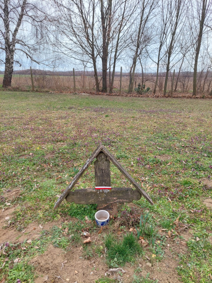 Drewniany krzyż oznaczający grób polskiego uchodźcy Józefa Smolińskiego w Oroszi na Węgrzech. Krzyż ma częściowo zatarty napis węgierski i mały ceramiczny pojemnik u podstawy. W tle drzewa i pole.