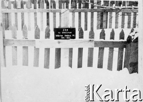 Fotografia przedstawiająca Groby Polaków zmarłych na zesłaniu po II wojnie światowej