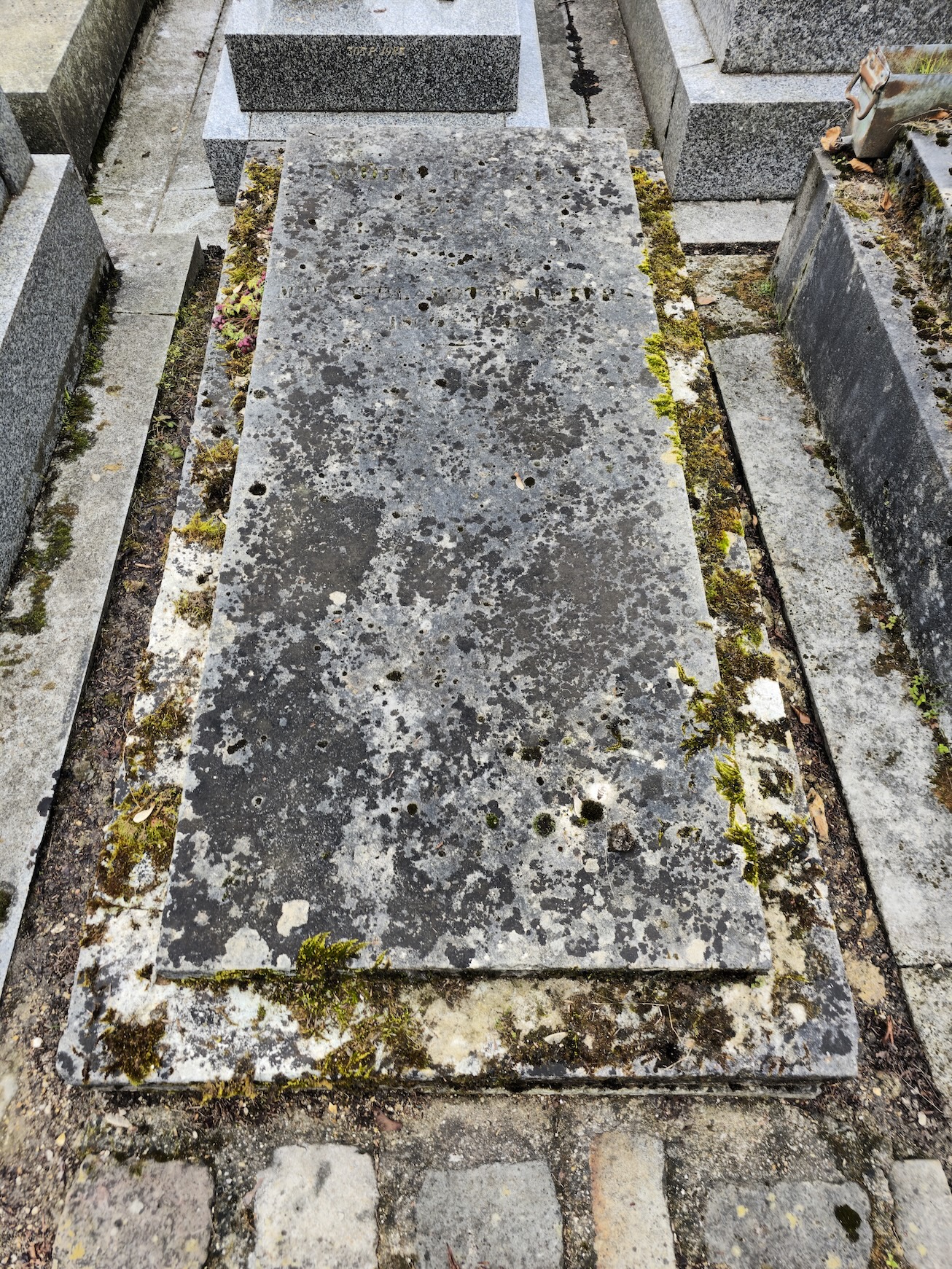 Fotografia przedstawiająca Nagrobek rodzin Blavotów i Żółcińskich