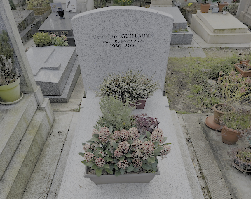 Альтернативний текст фотографії