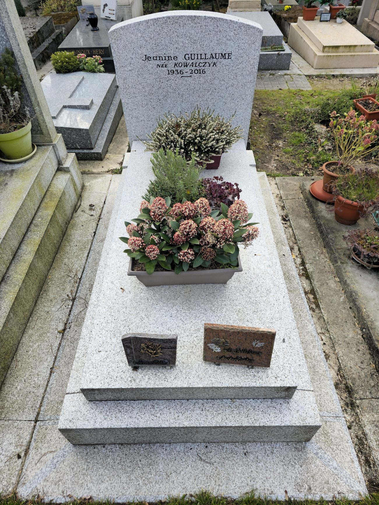 Альтернативний текст фотографії