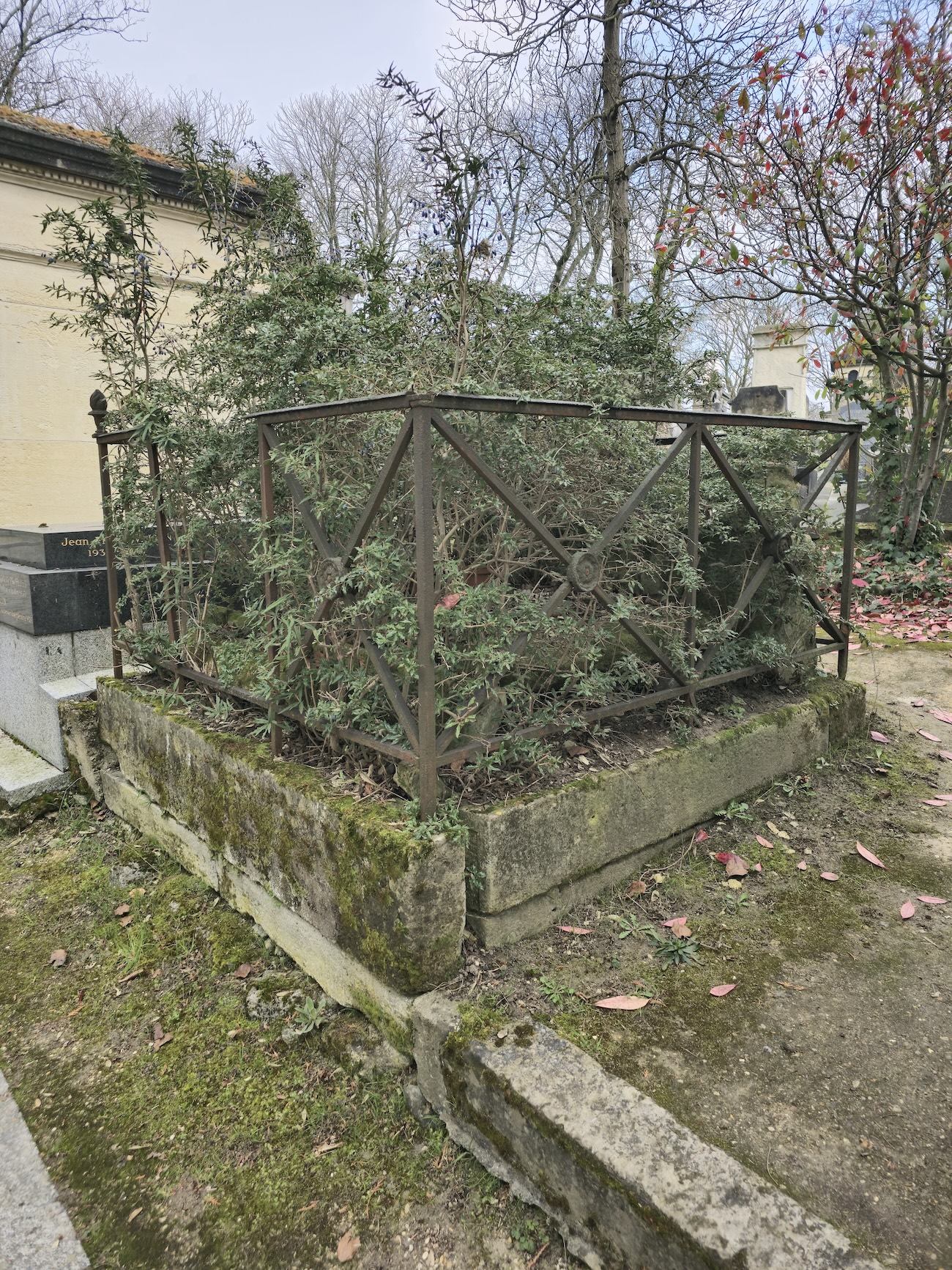 Альтернативний текст фотографії