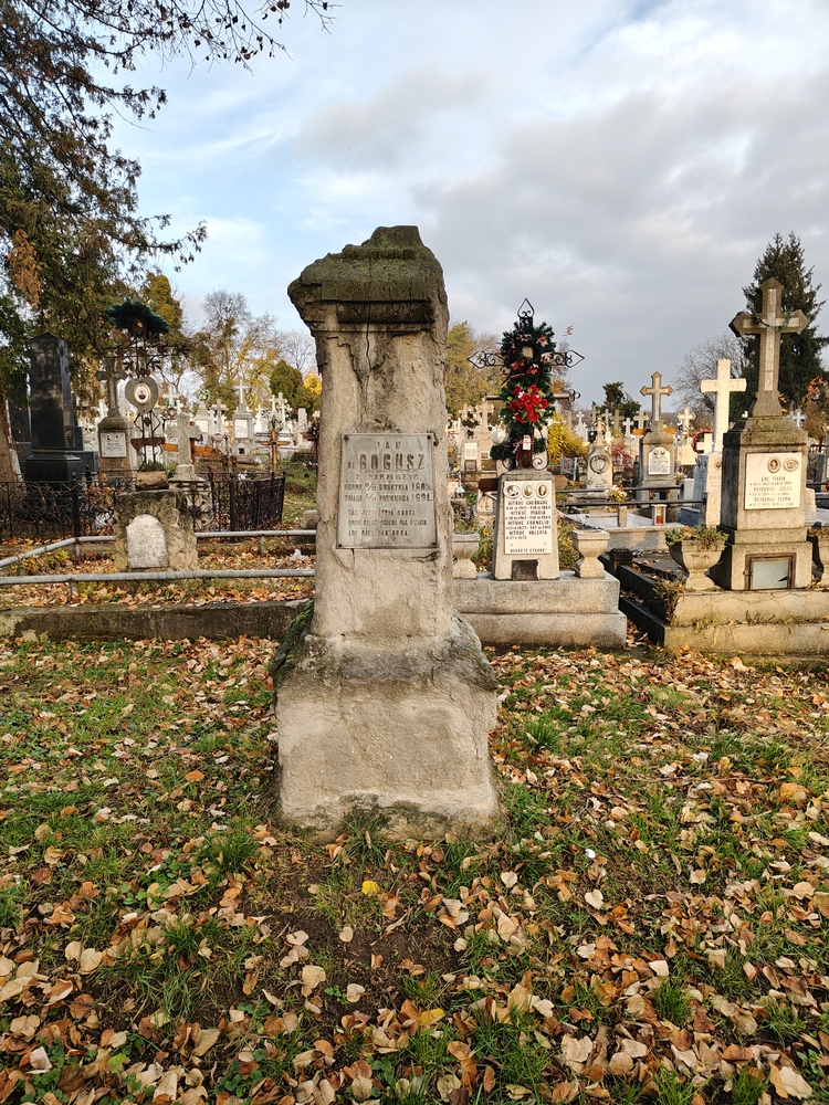 Альтернативний текст фотографії