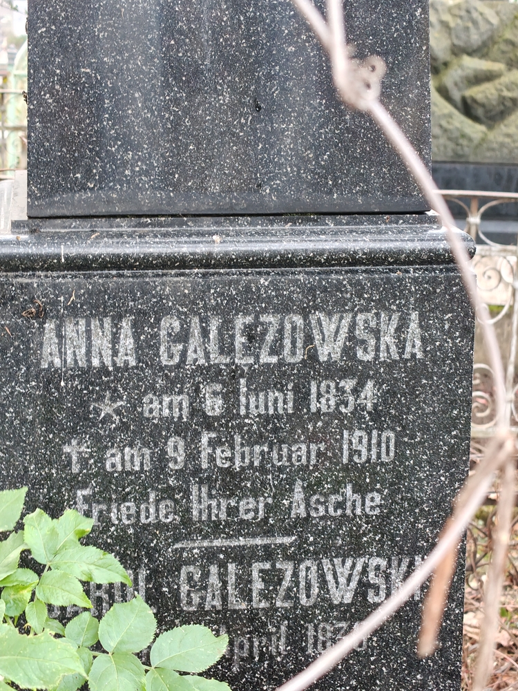 Альтернативний текст фотографії