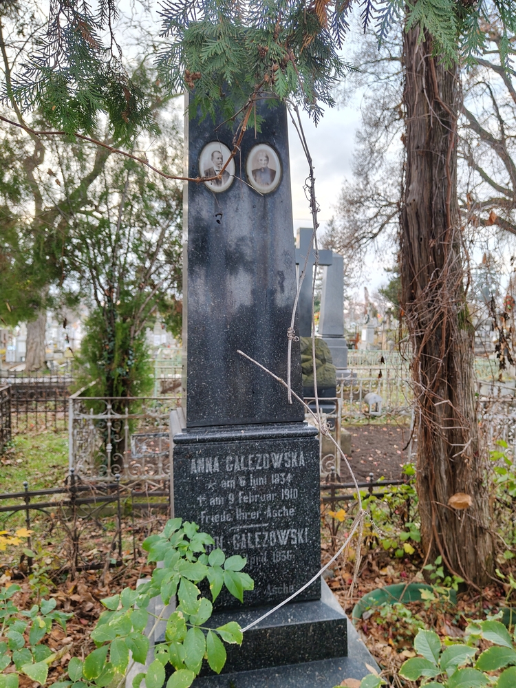 Альтернативний текст фотографії