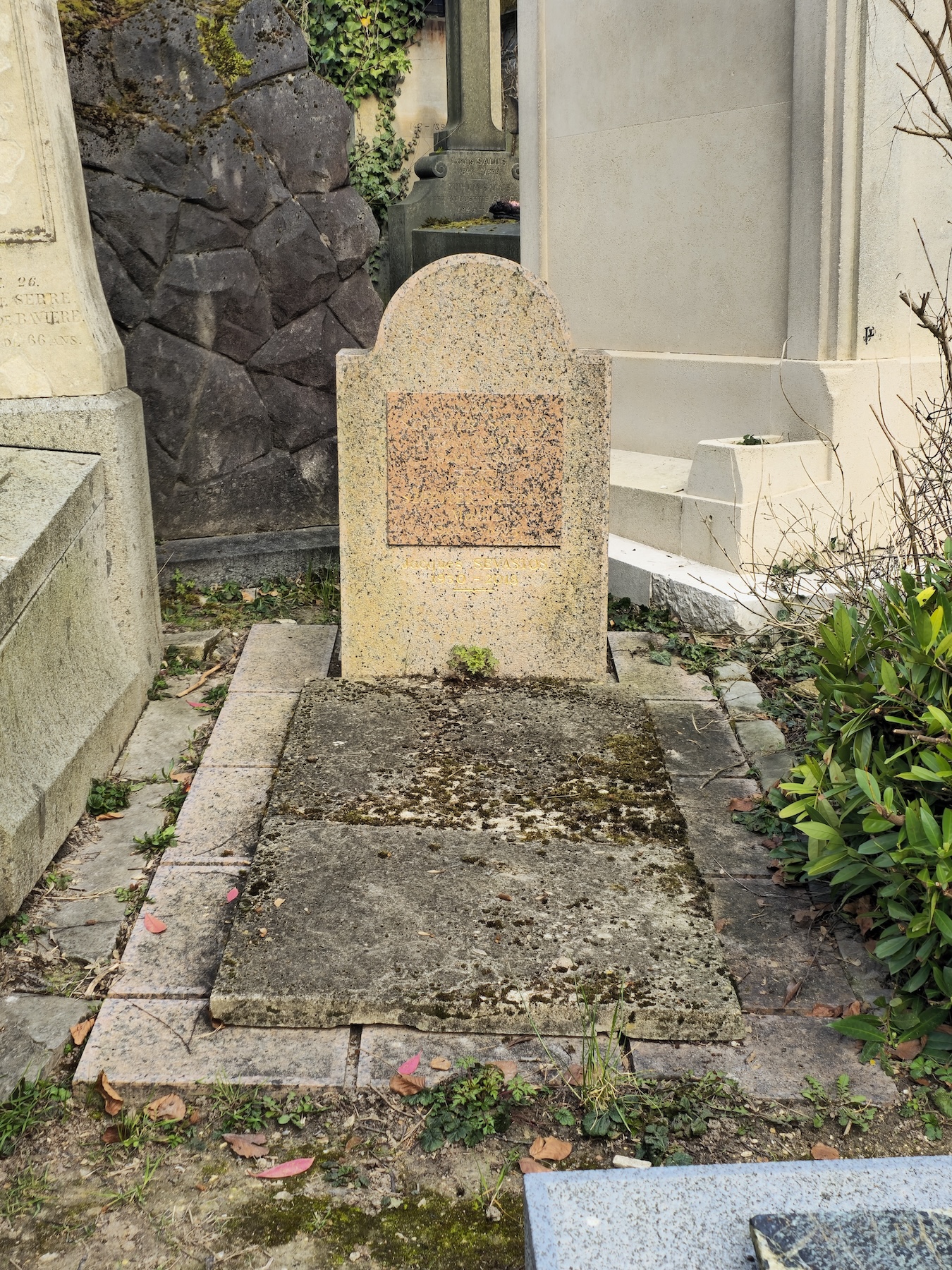 Альтернативний текст фотографії