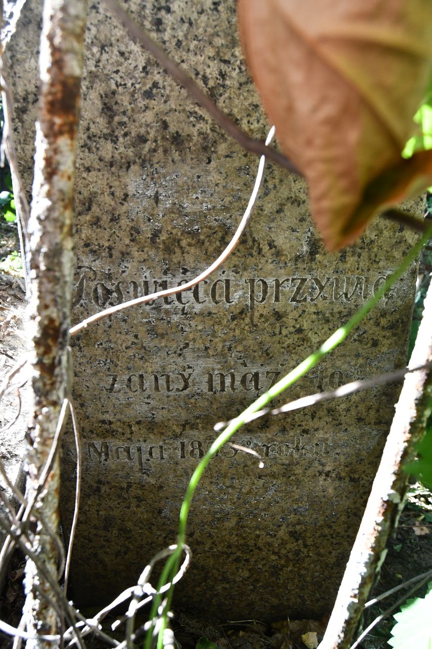 Fragment nagrobka Katarzyny Łobody, cmentarz Bajkowa w Kijowie, stan z 2021.