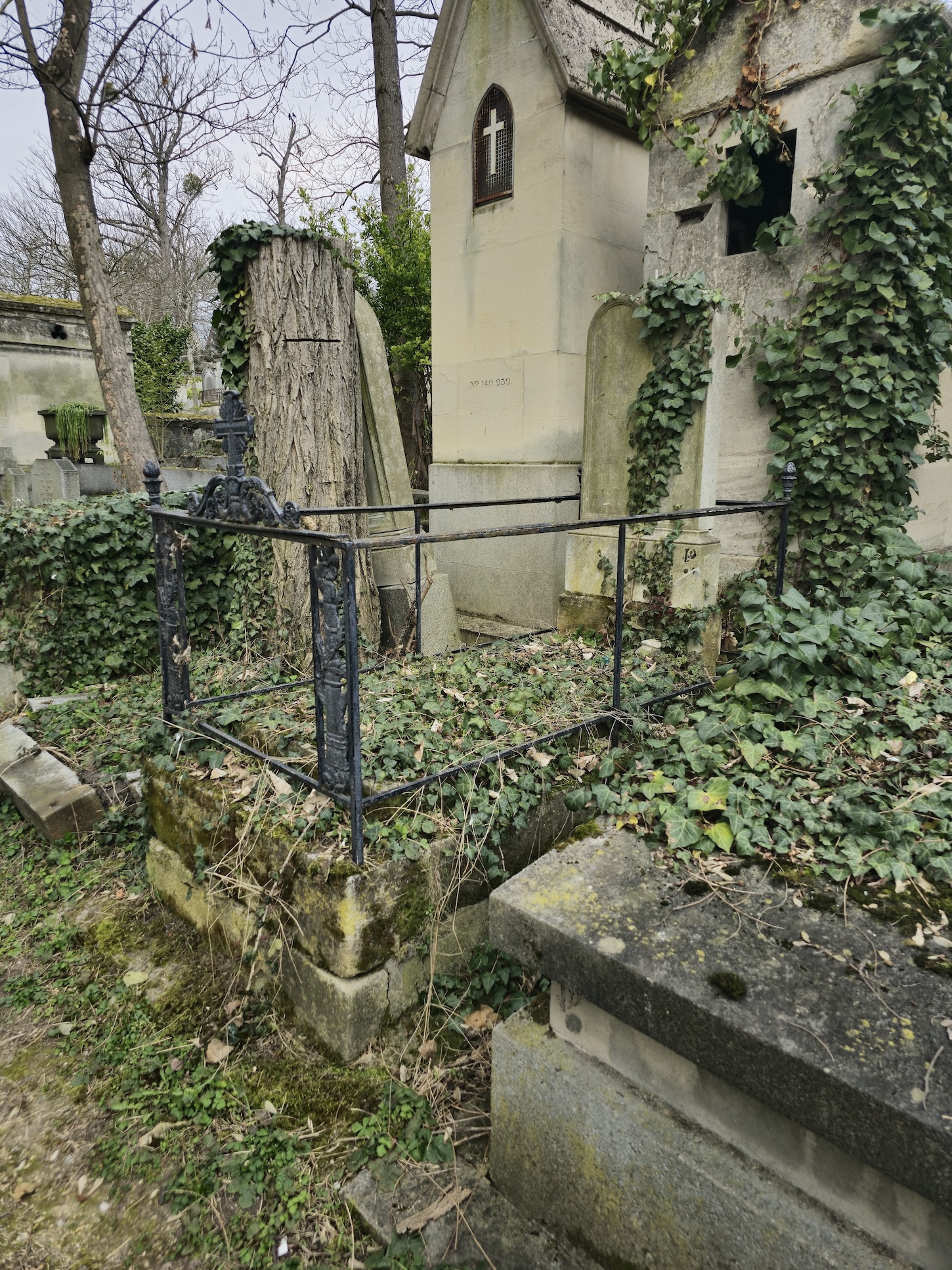 Альтернативний текст фотографії