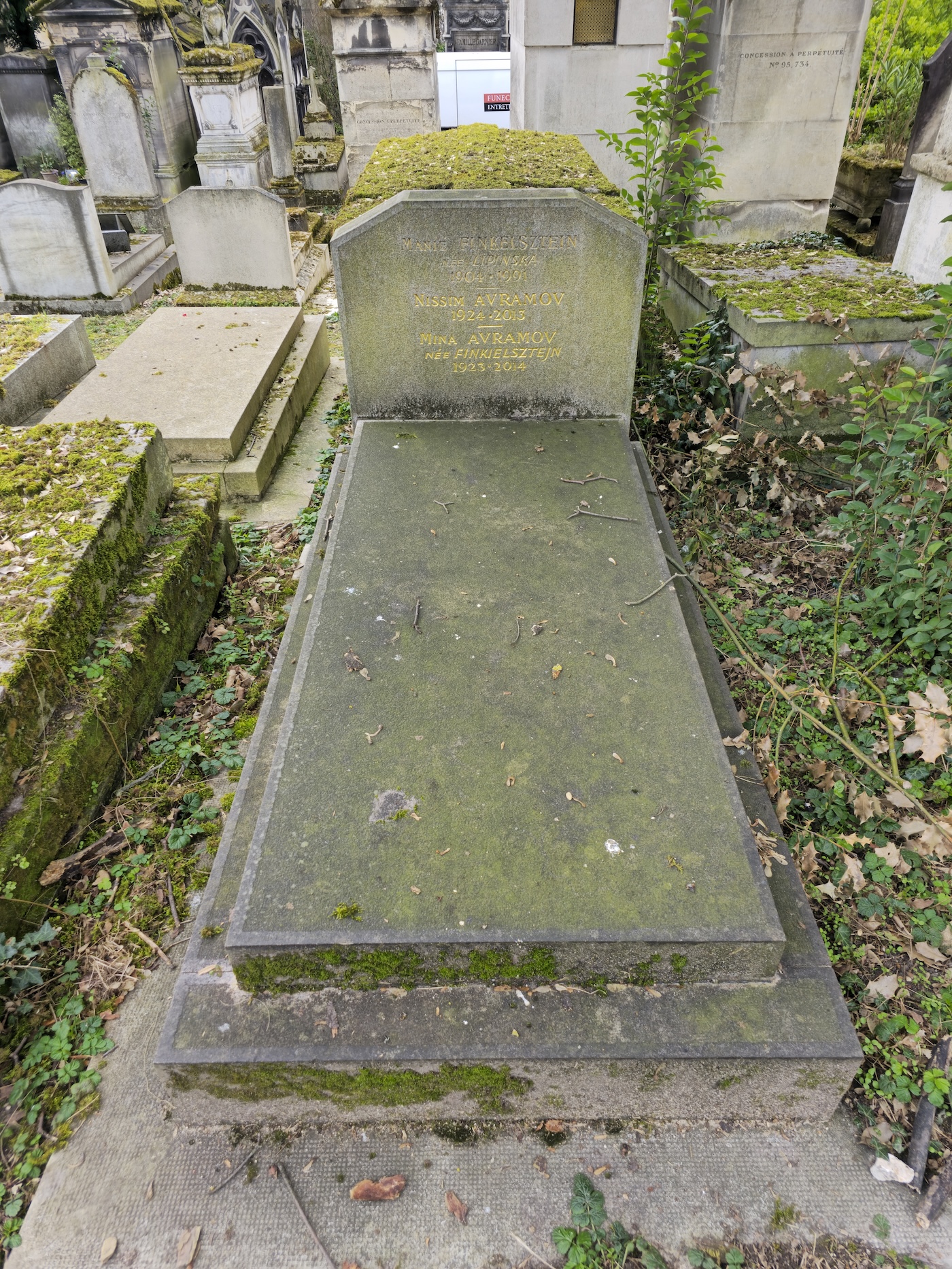 Photo montrant Nagrobek Miny i Nissima Avramovów oraz Manii Finkielsztejn