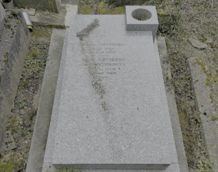 Nagrobek Michała i Sary Grynbergów z prostokątną żardinierą, skośną płytą i wazonem w kształcie sześcianu. Z prawej strony gałązka oliwna z brązu. Widoczne inskrypcje na płycie i gałązce.