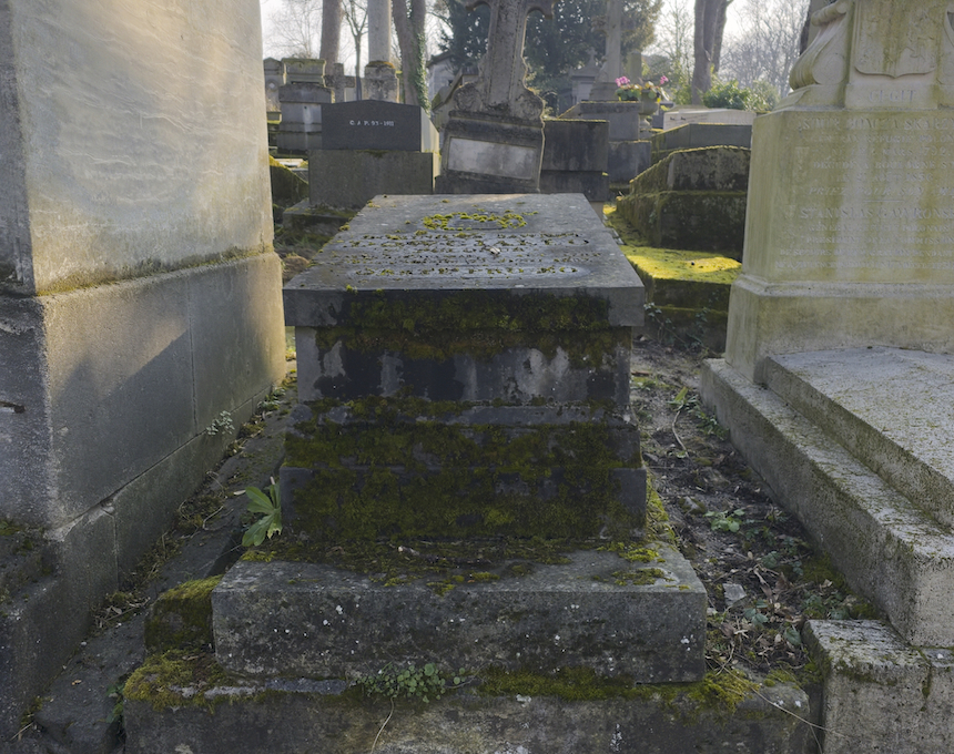 Photo montrant Nagrobek Dominika Dowgiałły