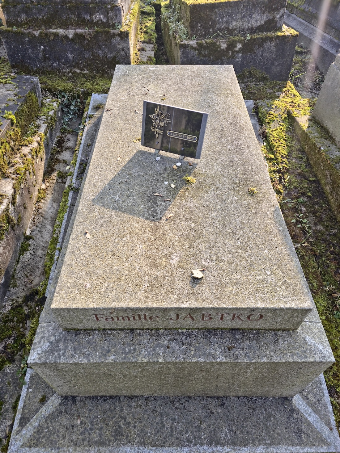 Альтернативний текст фотографії