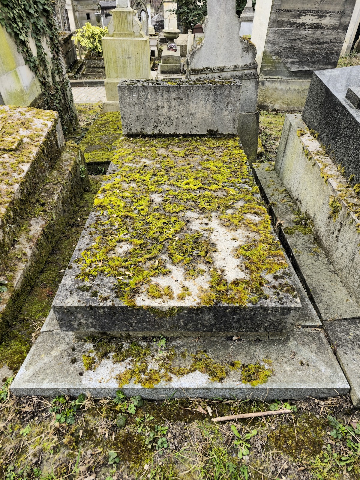 Photo montrant Nagrobek Aleksandra Gomolińskiego