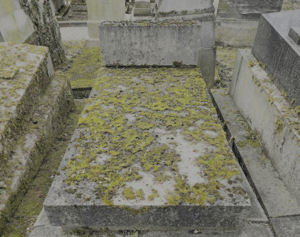 Nagrobek Aleksandra Gomolińskiego z ukośną, płaską płytą pokrytą mchem. U wezgłowia niska prostokątna stela z inskrypcją.