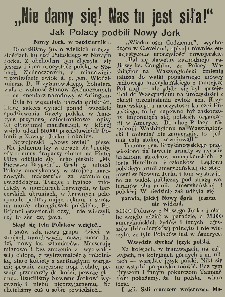 Fotografia przedstawiająca Manifestacja oraz dorobek polonii amerykańskiej