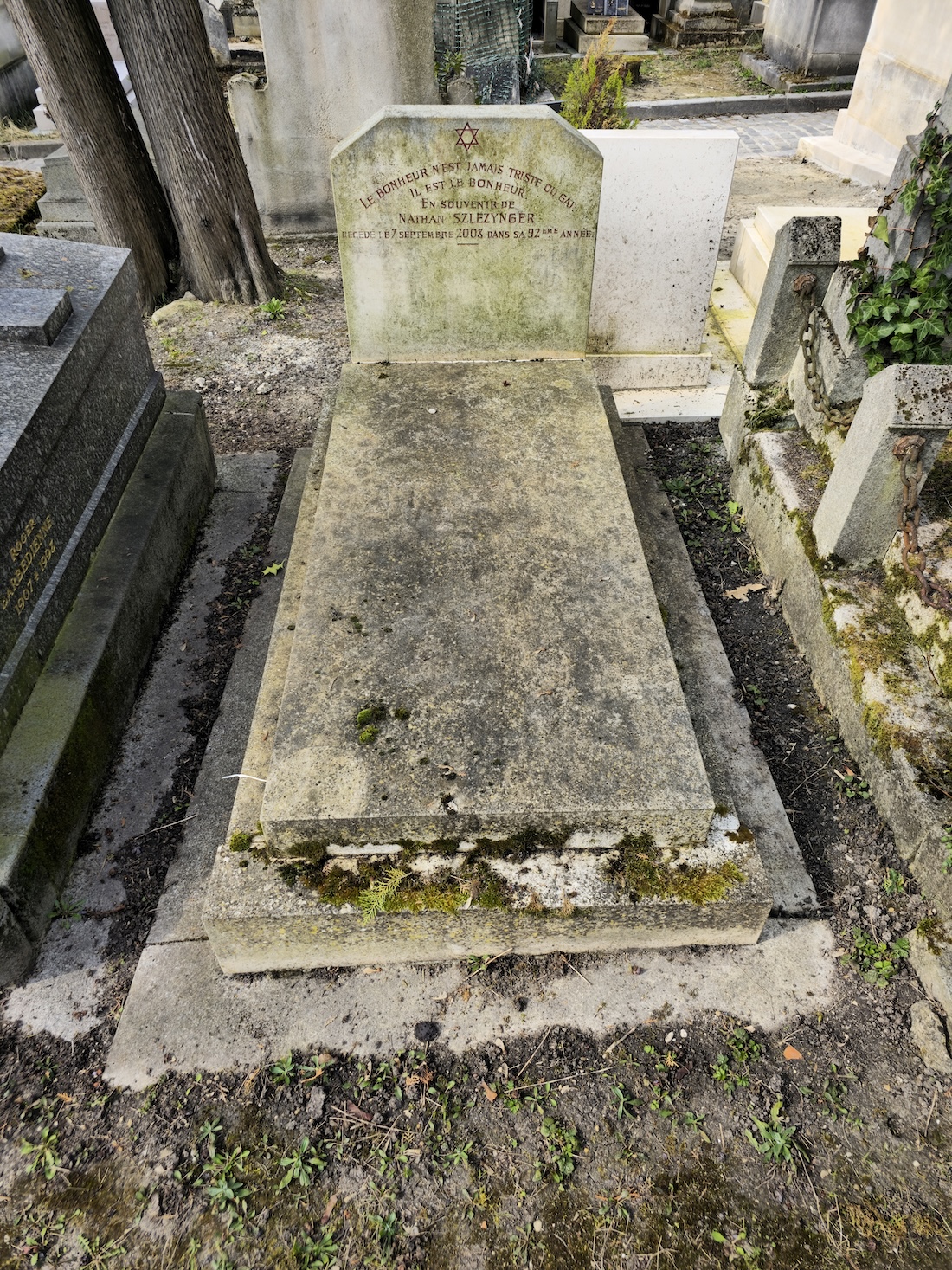 Альтернативний текст фотографії