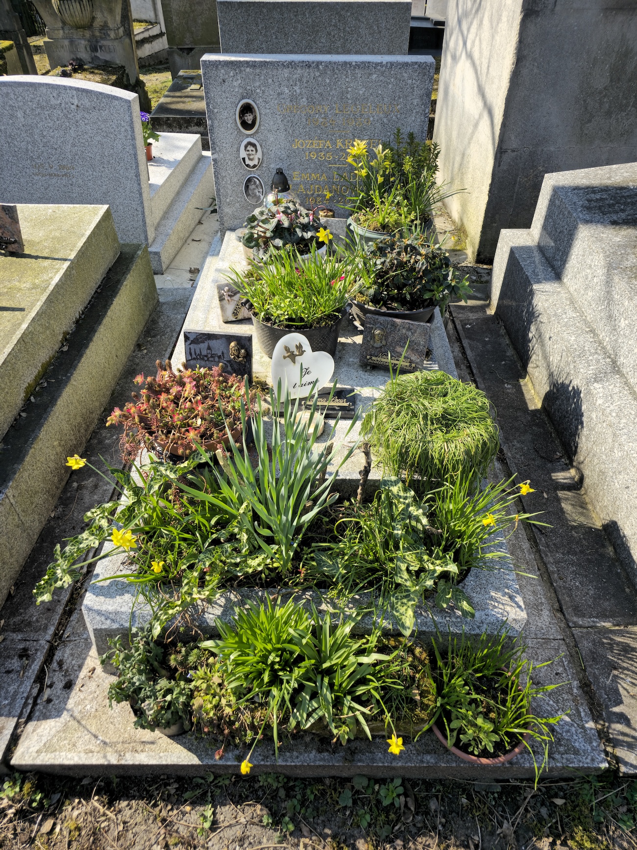 Альтернативний текст фотографії