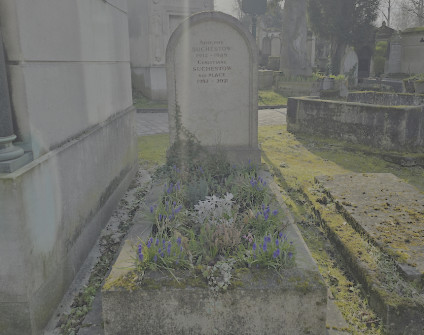 Nagrobek Adolphe’a i Christiane Suchestowów z półokrągłym szczytem i inskrypcją, otoczony roślinami. Cokół wypełniony ziemią, obramowany kamienną ramą.