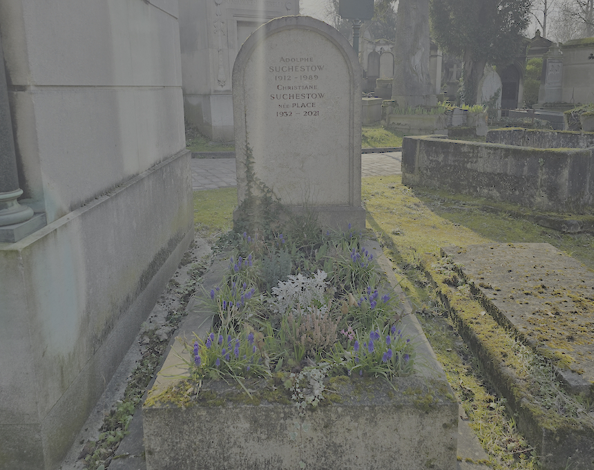 Альтернативний текст фотографії